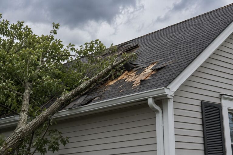 Storm Damaged Your Roof? Do These 5 Things Before You Call Your Insurance Company